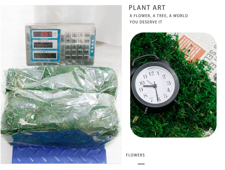Artificial Moss for Home Room Indoor Outdoor Shelf Decor