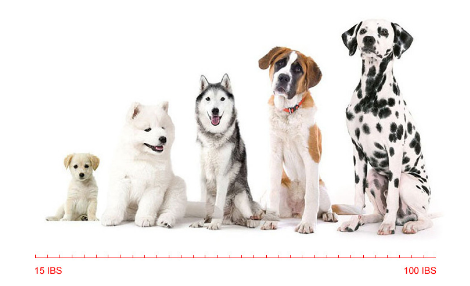 Intelligent Ultrasonic Bark Stopper: Rechargeable Vibration Automatic Dog Training Device with Anti-Barking Shock Collar