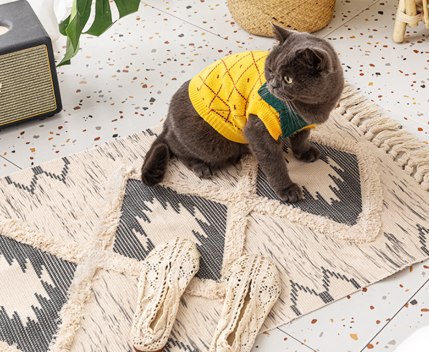 Retro Moroccan Geometric Pattern Cotton and Linen Area Rug with Tassel Handwoven Floor Carpet Rug for Living Room Bedroom 02