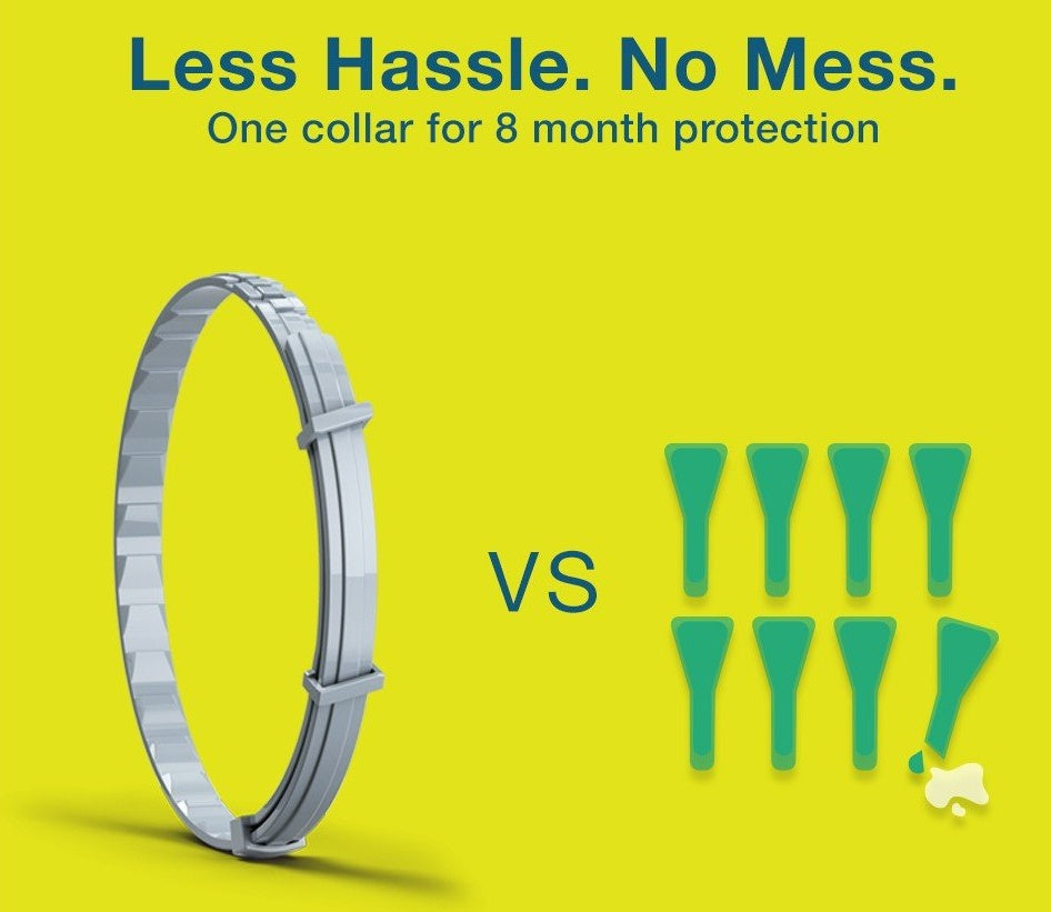8 Months Protection: Collar Antiparasitic for Small Dogs
