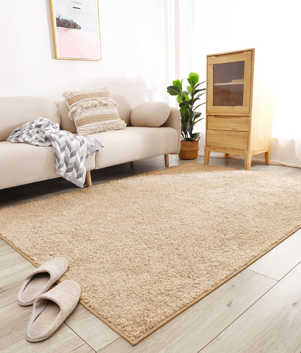 Minimalist  Solid Colours Living Room Bedroom Plush Rugs Sofa Coffee Table Rugs Children's Room Window Mats 02