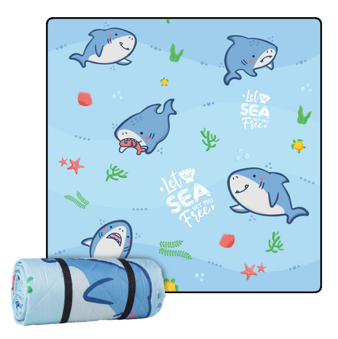 Outdoor Rug Picnic Rugs- Woven Waterproof Plastic Lightweight Mat with For Garden, Patio, Decking, Bathroom, Utility, Picnic Folds Away for Easy Storage 10