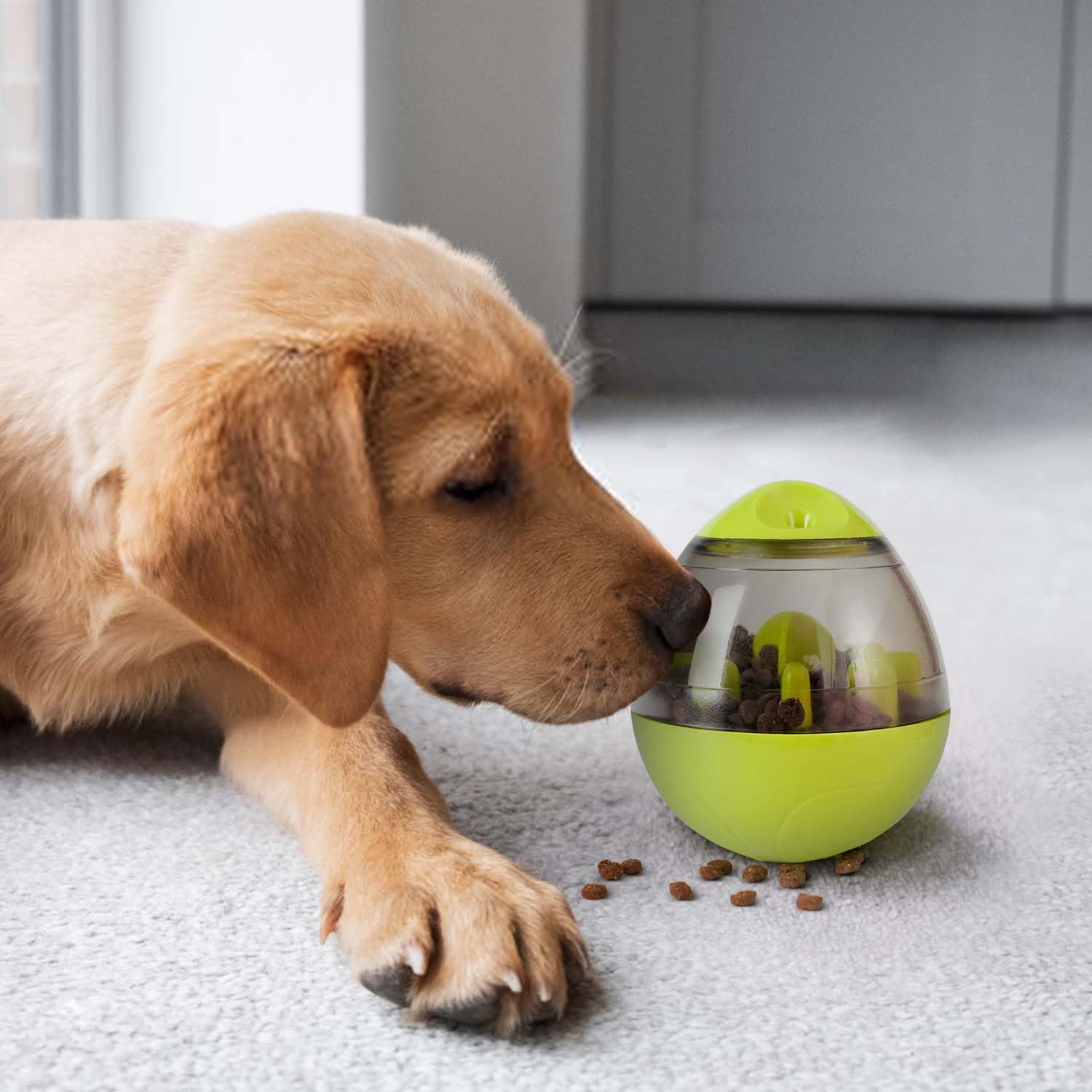 Dog Treat Dispensing Ball with Slow Feeder Training