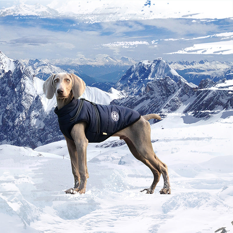 Ultimate Dog Winter Jacket: Premium Technical Design, Reflective & Waterproof for All-Weather Comfort