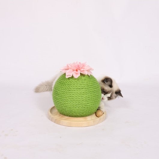 Cat climbing frame Natural Sisal Rope Cactus Cat Scratching Post with Flower, Circle Track with Moving Balls Cat Tracks Cat Toy