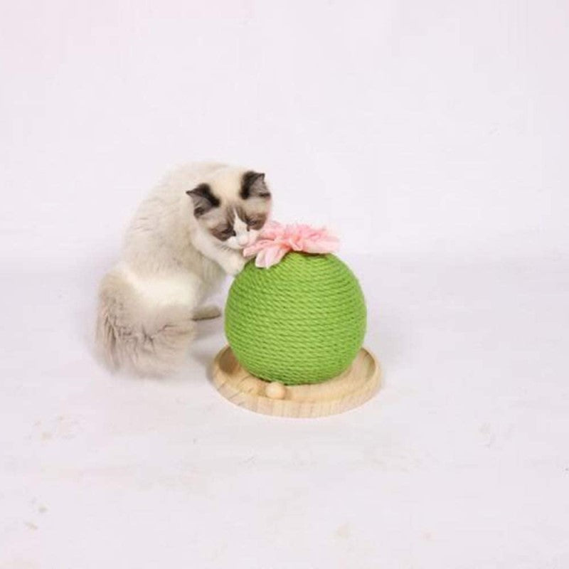 Cat climbing frame Natural Sisal Rope Cactus Cat Scratching Post with Flower, Circle Track with Moving Balls Cat Tracks Cat Toy