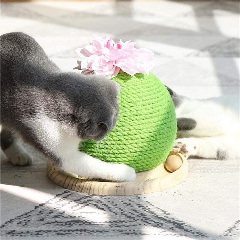 Cat climbing frame Natural Sisal Rope Cactus Cat Scratching Post with Flower, Circle Track with Moving Balls Cat Tracks Cat Toy