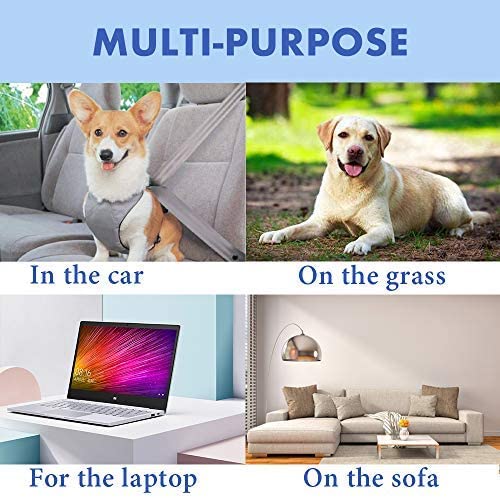 Blue Tropical Fruit Plant Pattern Dog & Cat Cool Mat, Self Cooling Gel Mat Pads Pet Cool Beds