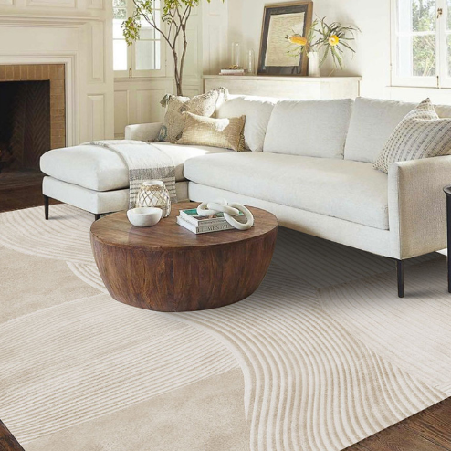 Simple Lines Plain Living Room Bedroom Light Luxury Household Living Room Rugs Bedside Rugs 01