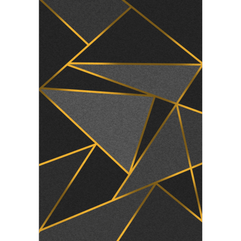 Black Geometric Gold Line Rugs for Living Room Dining Room Bedroom Hall