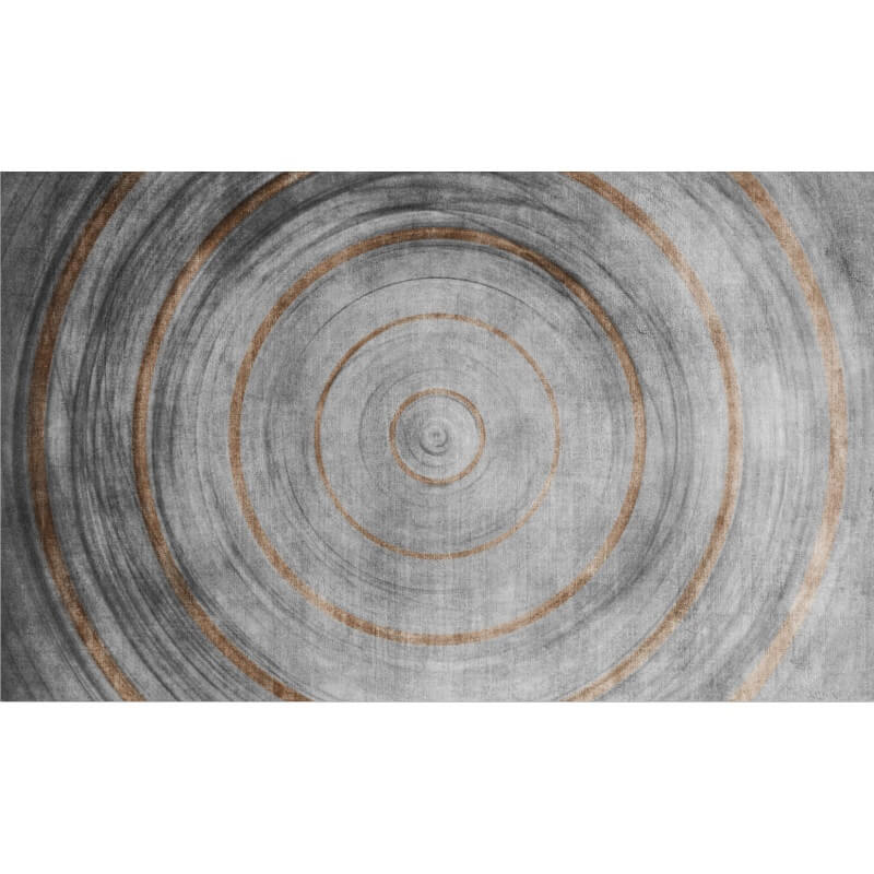 Gray Annual Ring Pattern Printing Rugs for Living Room Bedroom