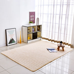 Modern Coral Fleece Carpets Anti-Slip Home Decor Thickened Rugs for Living Room Bedroom Bedside Entrance