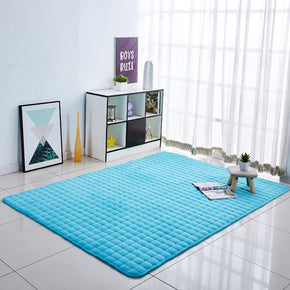 Modern Thickened Blue Coral Fleece Carpets Anti-Slip Home Decor Rugs for Living Room Bedroom Bedside Entrance