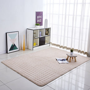Thickened Modern Home Decor Coral Fleece Carpets Anti-Slip Rugs for Bedside Entrance Living Room Bedroom