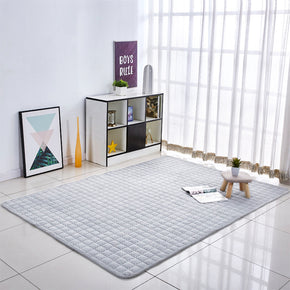 Modern Coral Fleece Carpets Thickened Grey Decor Anti-Slip Rugs for Bedside Entrance Living Room Bedroom
