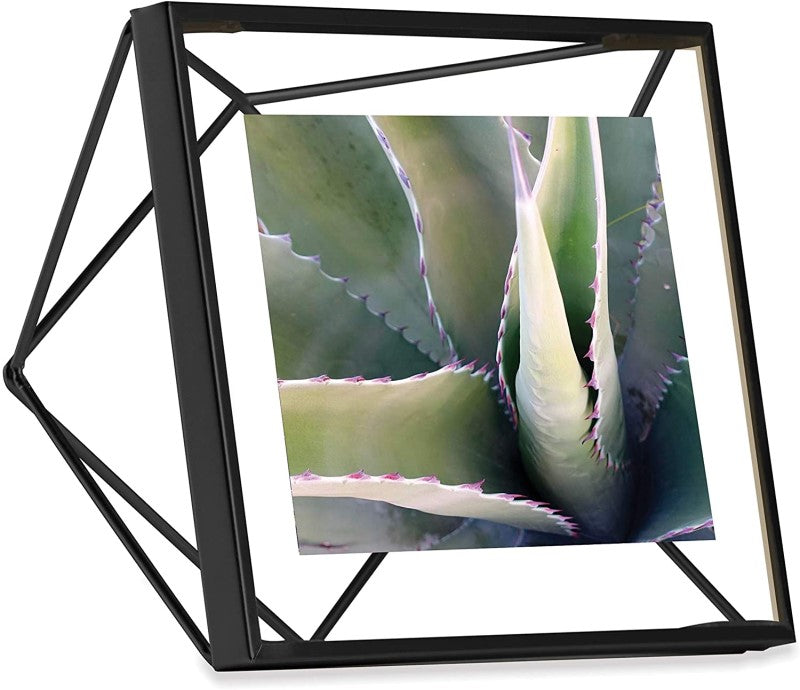 Black Diamond Shape Retro Glass Metal Photo Frame Artwork Picture Frame for Pothos, Plant Specimen Tabletop Display