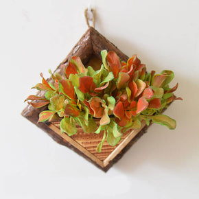 01 Simulated Eucaly Vintage Wooden Plant Hanging Living Room Dining Room Wall Decoration