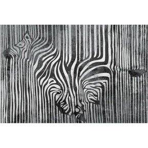 Black and White Modern Zebra Patterned Rugs Carpet Floormat