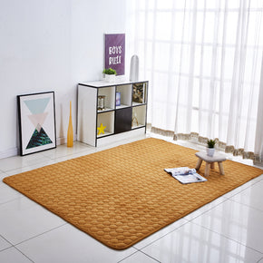 Camel Yellow Modern Thickened Coral Fleece Carpets Anti-Slip Home Decor Rugs for Bedside Entrance Living Room Bedroom