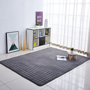 Dark Grey Thickened Modern Home Decor Coral Fleece Carpets Anti-Slip Rugs for Bedside Entrance Living Room Bedroom