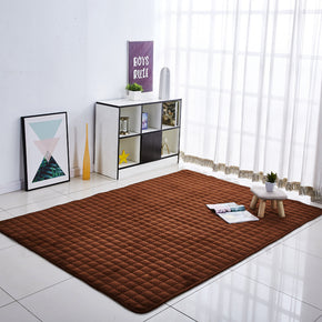 Coral Fleece Carpets Brown Thickened Decor Anti-Slip Rugs Modern Home for Bedside Entrance Living Room Bedroom