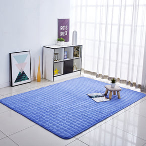 Coral Fleece Carpets Thickened Blue Decor Anti-Slip Rugs Modern Home for Bedside Entrance Living Room Bedroom